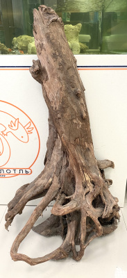 Коряга мангровая 100см 